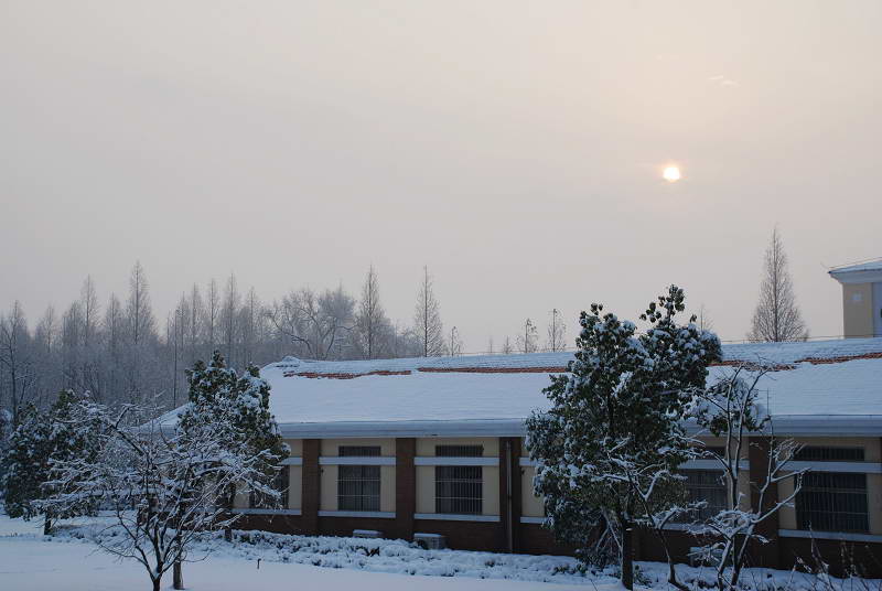 晨雪 摄影 志林兄