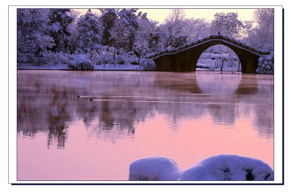 2010年南方第一场雪(2) 摄影 猴行万里