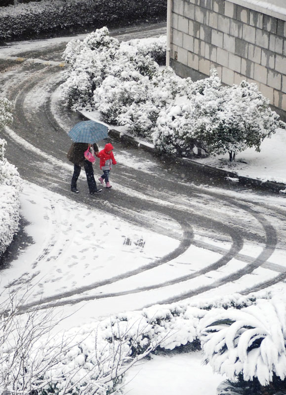 15日的大雪 摄影 lwg7021