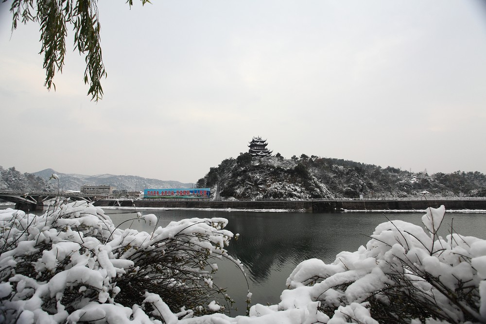 雪 摄影 鹿山老人