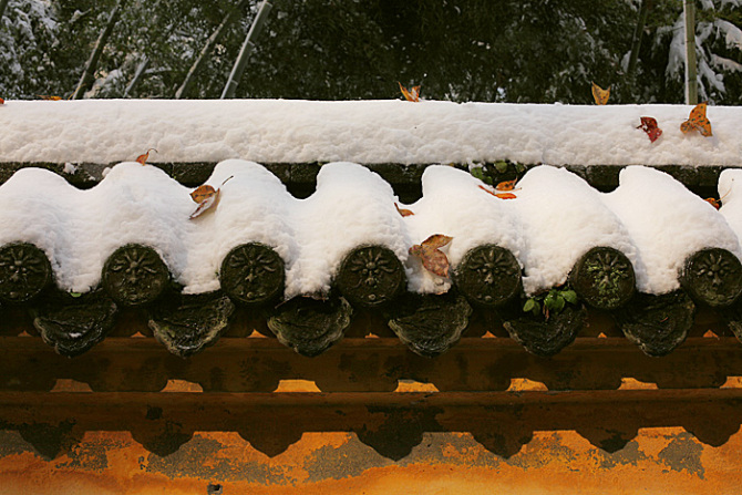 雪 摄影 风向.