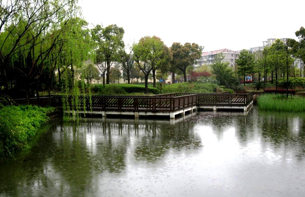 雨中即景 摄影 王老爹