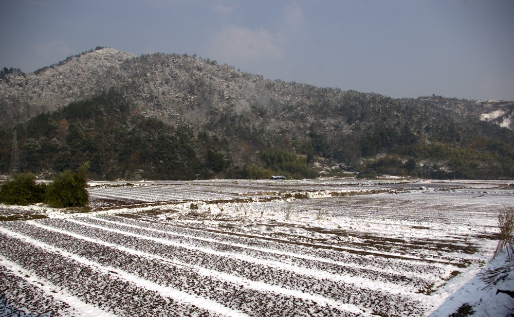 江南雪2 摄影 白 蓝