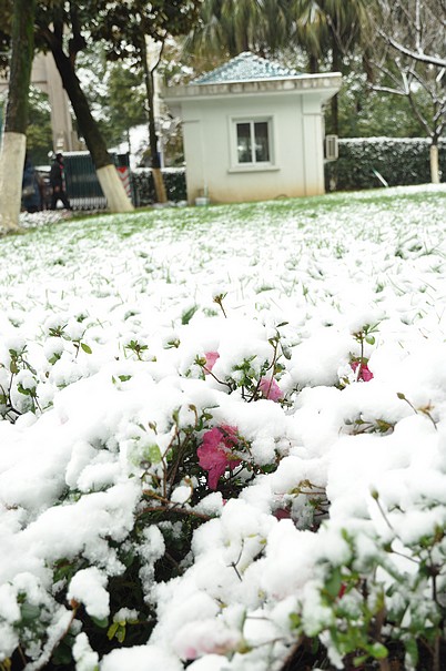 温州下了一场大雪 摄影 cathy_cn