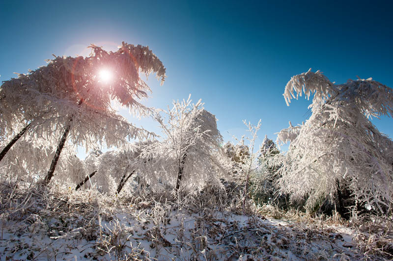 第一场雪 摄影 风向哪里