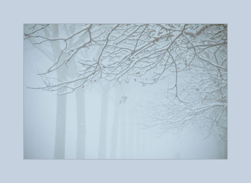 聆雪 摄影 水舞蓝黛