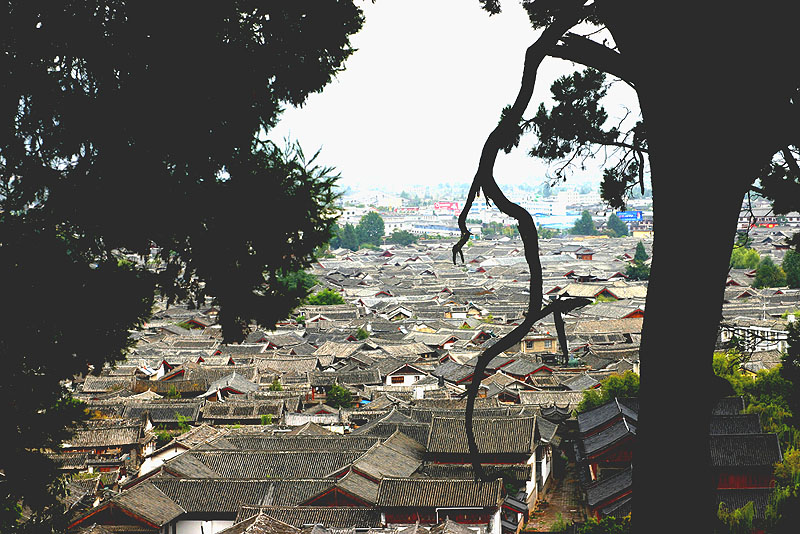 丽江古城 摄影 巫峡江边人