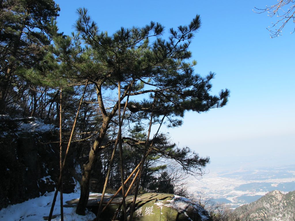 庐山—劲松 摄影 飞翔001