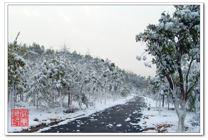 初雪 摄影 清风-徐徐