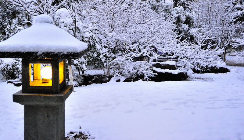 家门口的雪景 摄影 xihud700