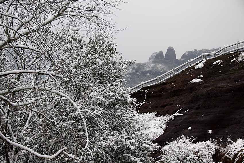 雪景小品 摄影 老过