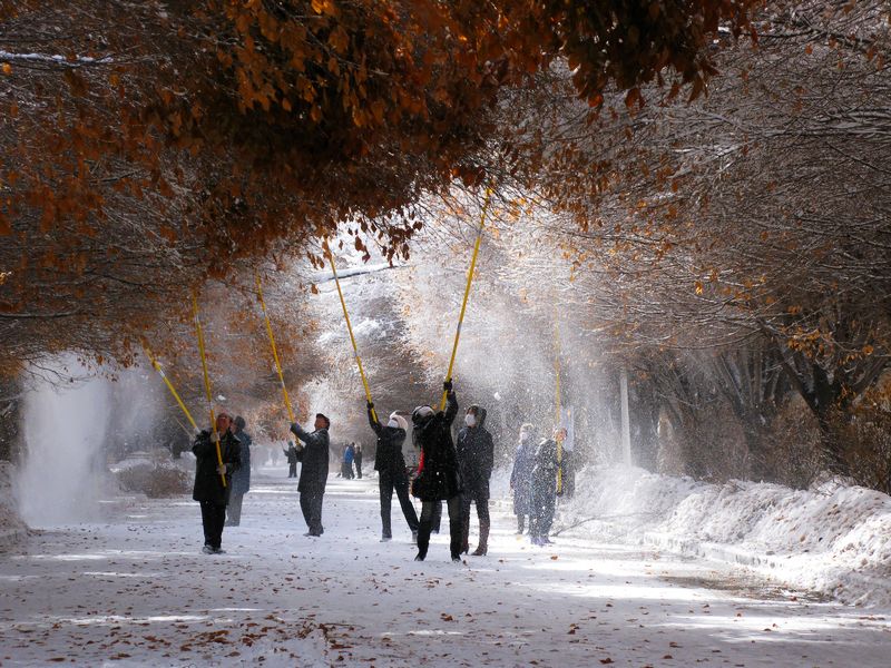 除雪 摄影 shanfenghao