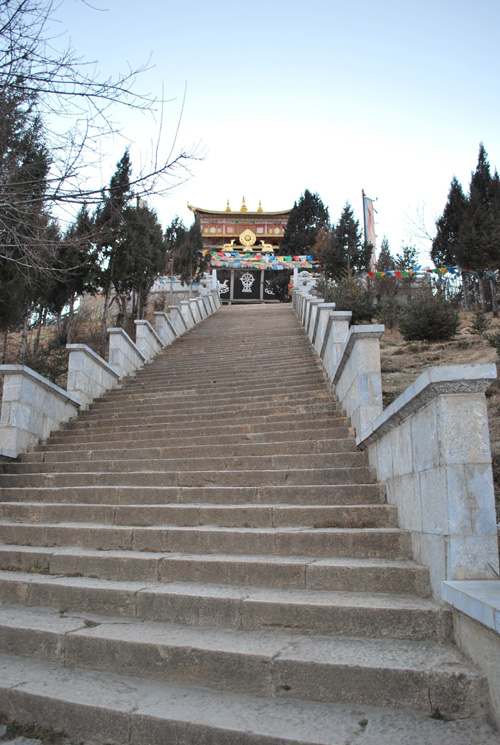 云南香格里拉 - 龟山大佛寺9 摄影 七滨逍遥