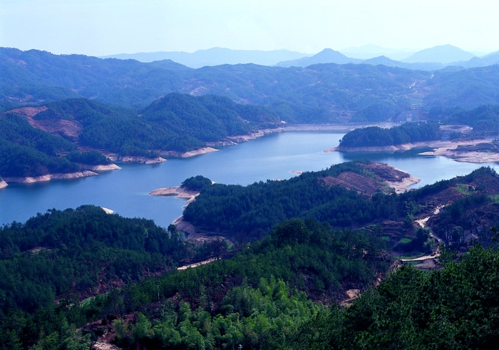 大别山 摄影 秦川牛