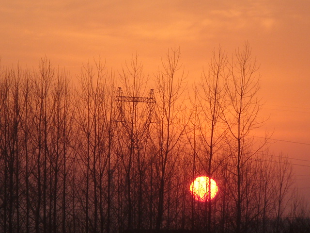 树林中的夕阳 摄影 离开的美丽