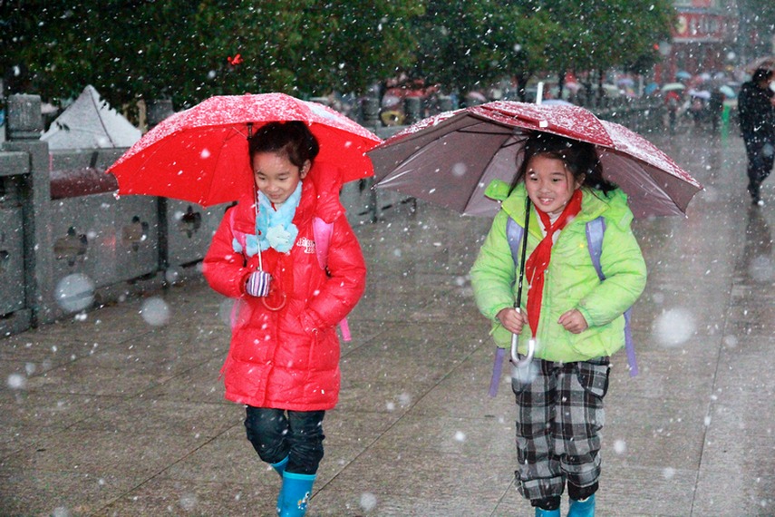 下雪了 摄影 上关风