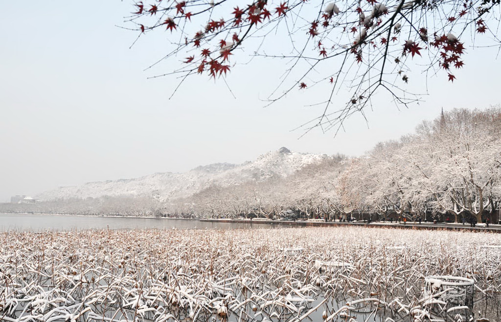 雪湖之恋之五 摄影 一滴露珠