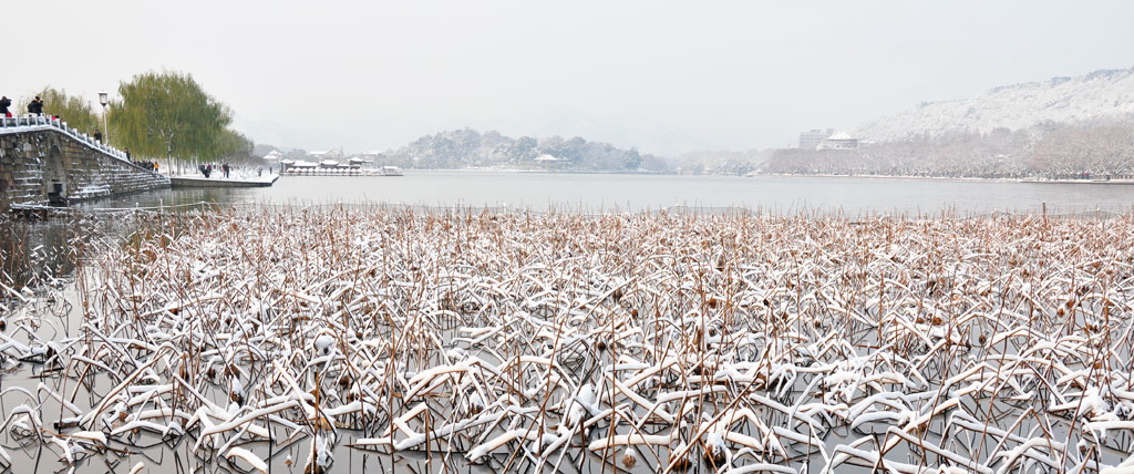 雪湖之恋之七 摄影 一滴露珠