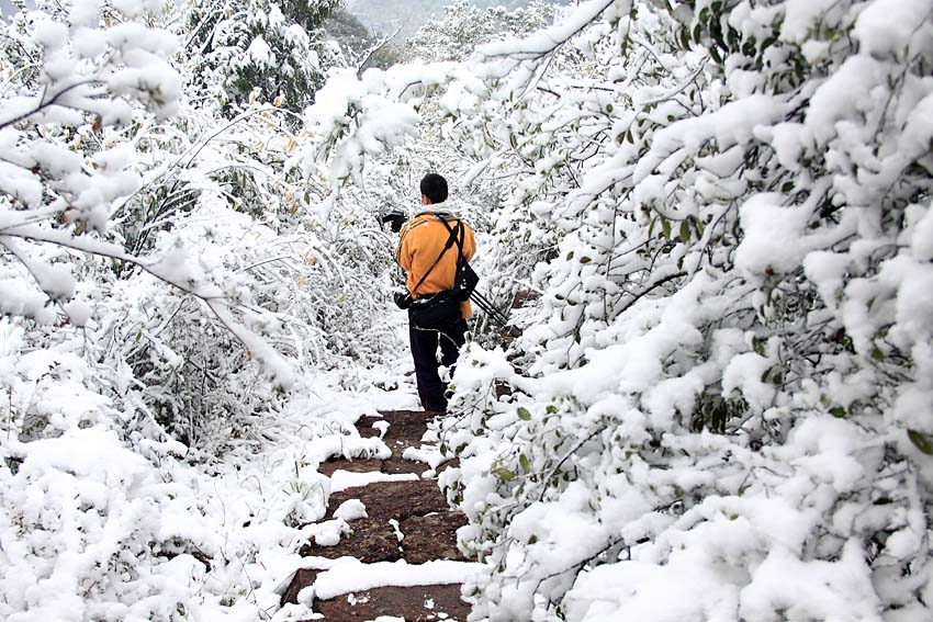 雪景小品 摄影 老过