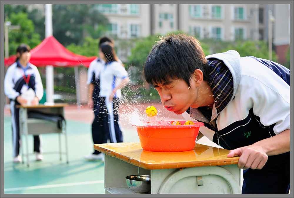 闹“圣诞” 摄影 小藏驹