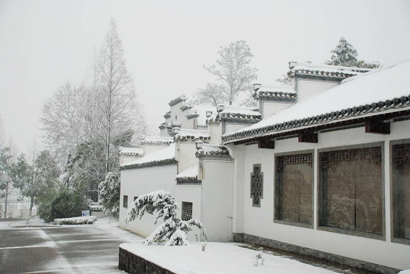 2010年初雪 摄影 志林兄