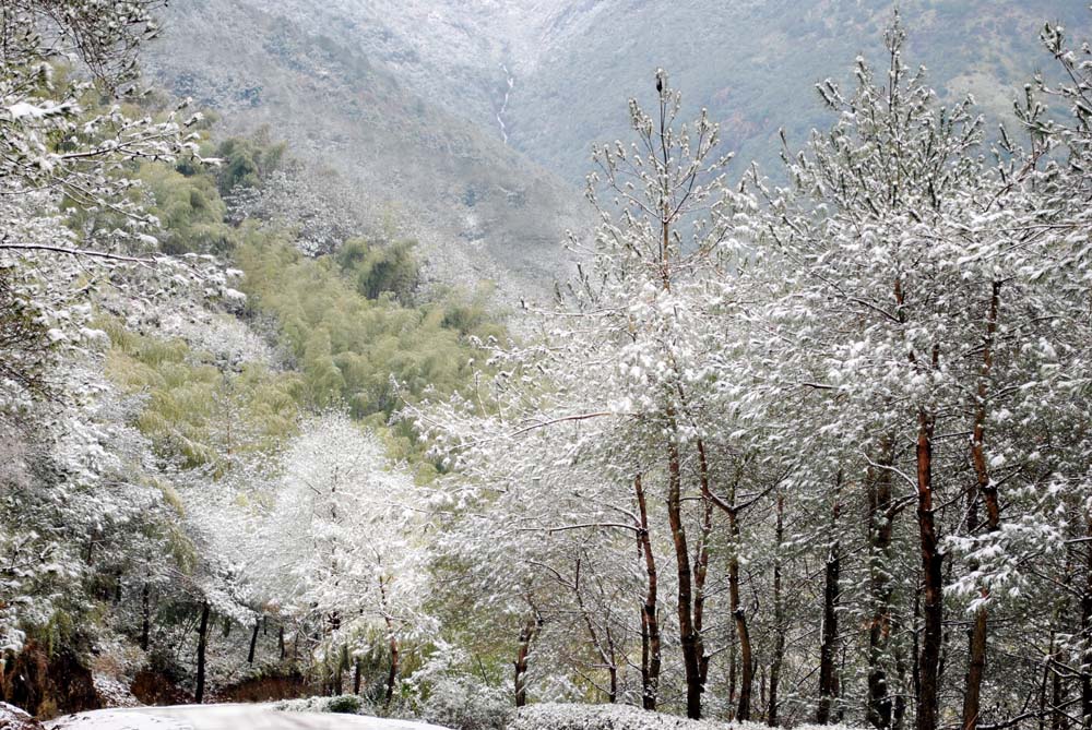 南雪 摄影 印痴