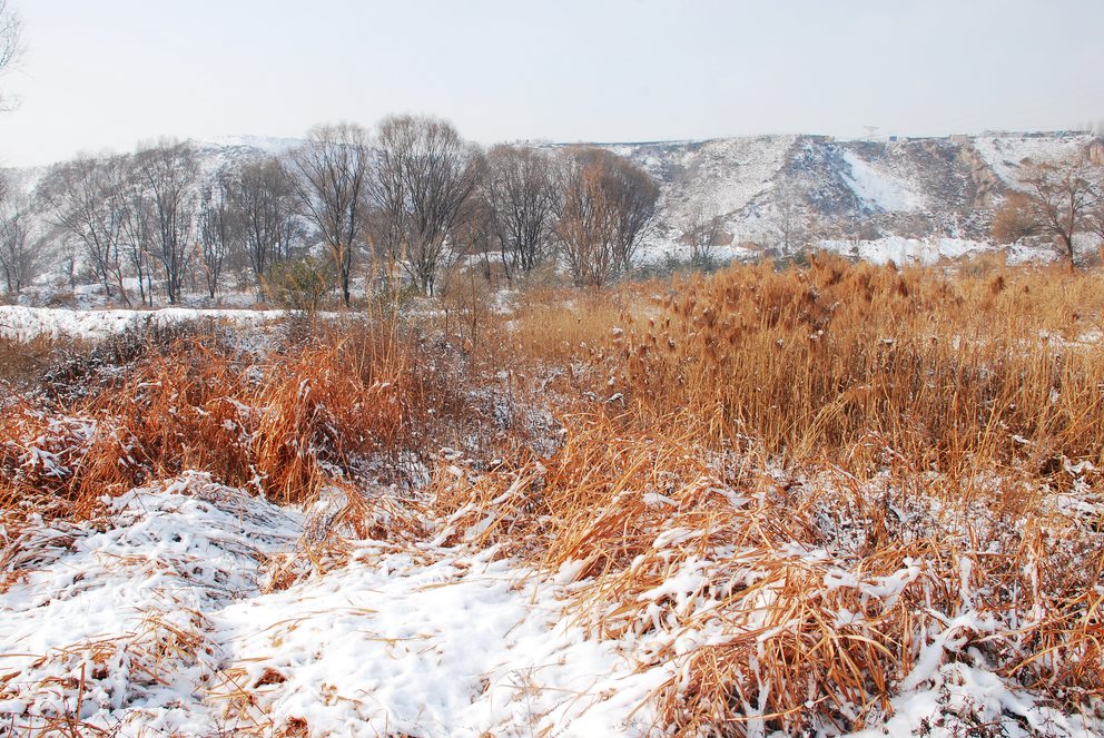 雁鸣湖冬雪 摄影 阳光灿烂中