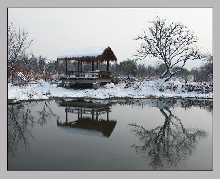 西溪雪 摄影 时间海