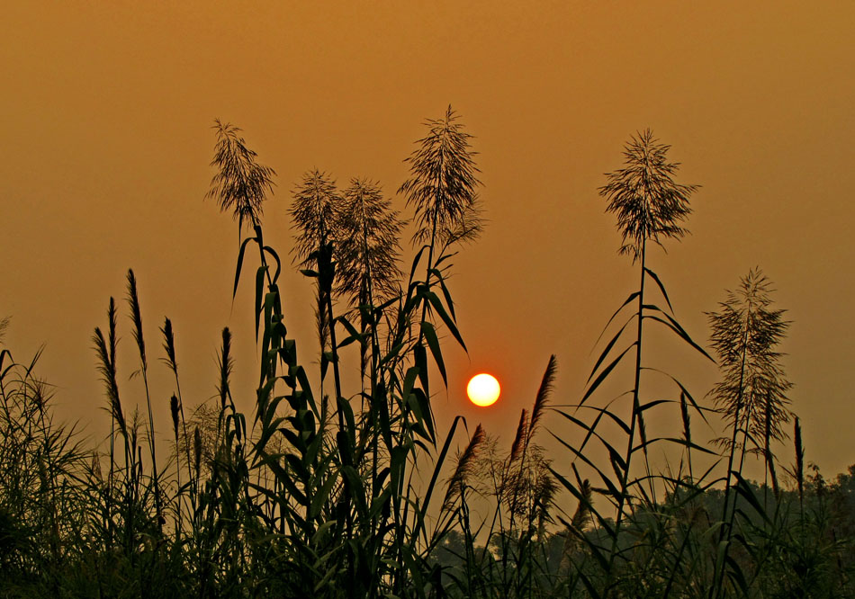 夕阳是陈年的酒 摄影 少城清风