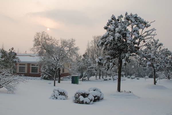 雪后的早晨 摄影 志林兄