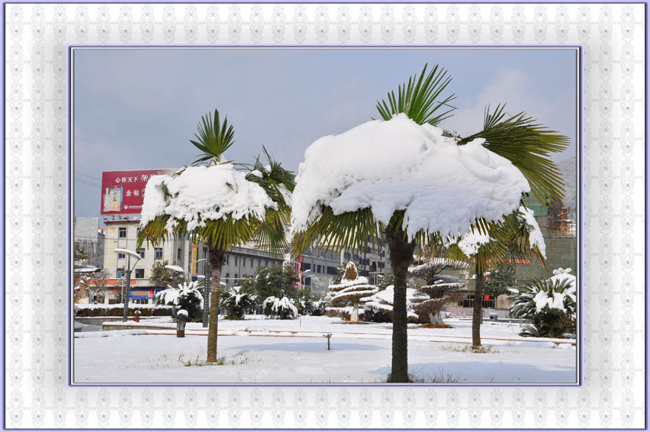 瑞雪兆丰年（2） 摄影 云海松涛