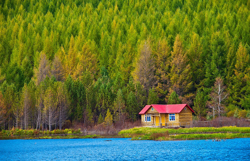 湖边小景 摄影 惬意人生