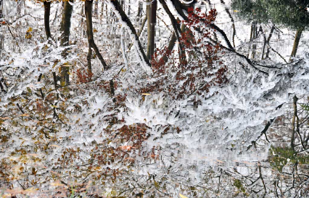 雪霁太子湾之一 摄影 一滴露珠