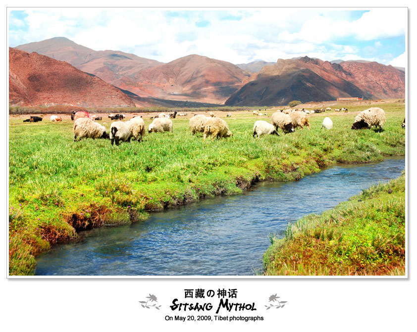 西藏の神话——牛羊栖息之地 摄影 北欧黎明