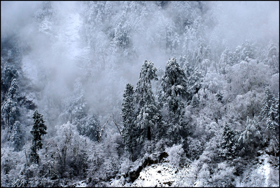 雪景 摄影 少城清风