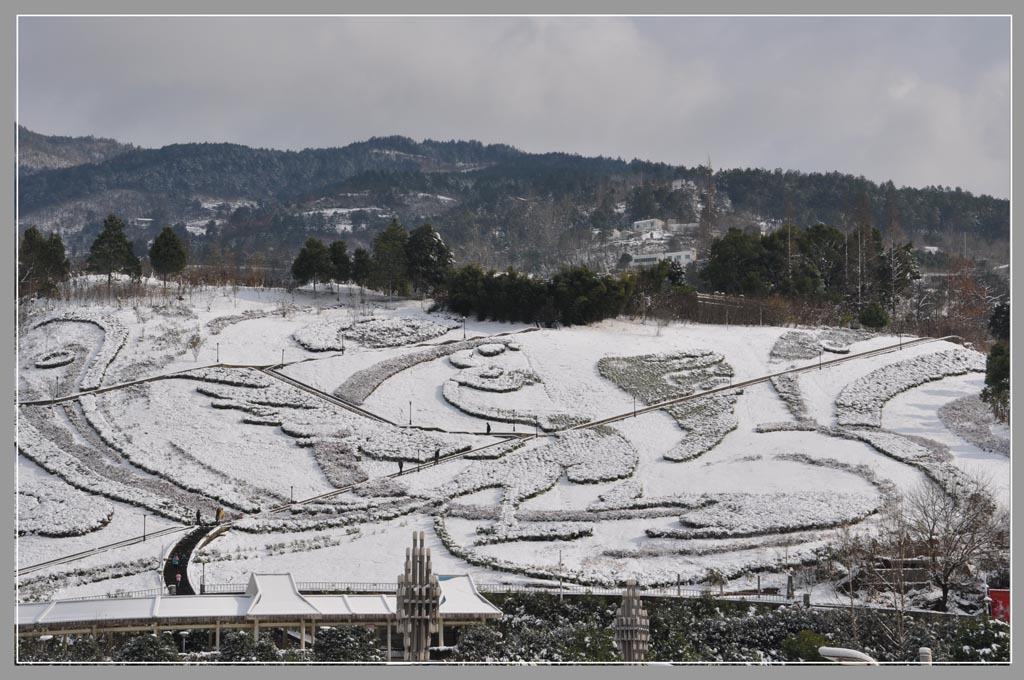 雪染凤凰（3）（点击欣赏） 摄影 云海松涛