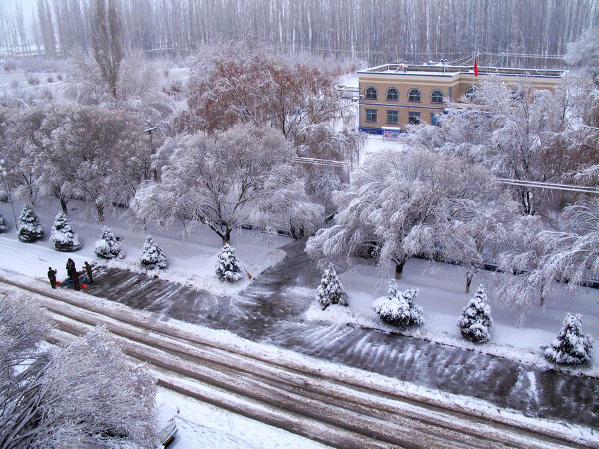 雪后小景 摄影 shanfenghao