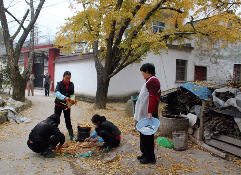 她们正在...... 摄影 岚馨