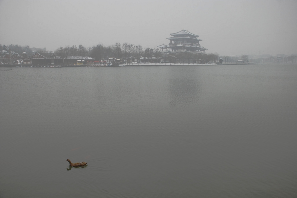 冬雪 摄影 阳光灿烂中