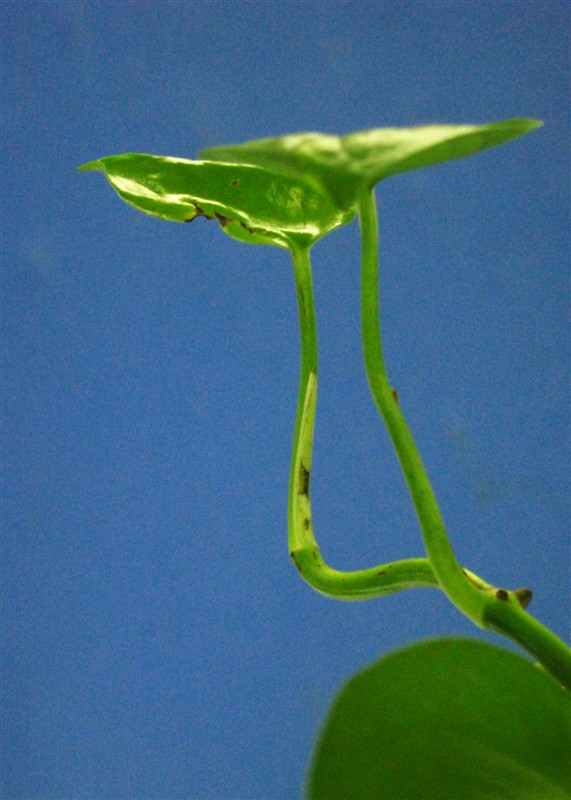 伤痕 摄影 行摄芸阁