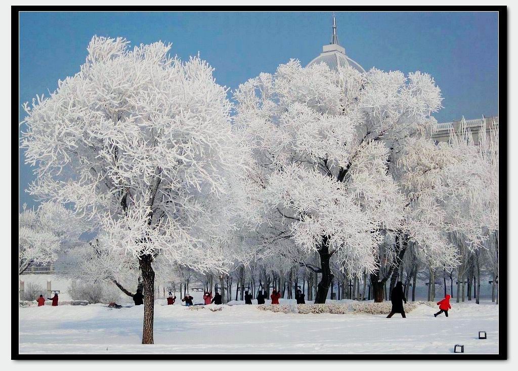 冰雪雾凇的眷恋 摄影 深水无澜