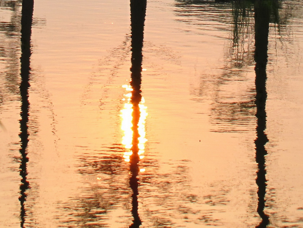 夕阳胭脂水 摄影 东湖野老