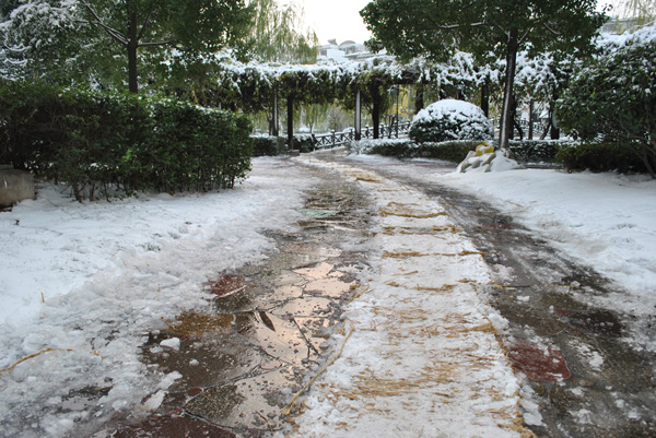 2010年第一场雪9 摄影 chunyingzhan