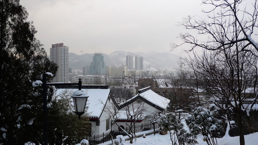 2010年底烟台一场大雪后 摄影 潮湿的心