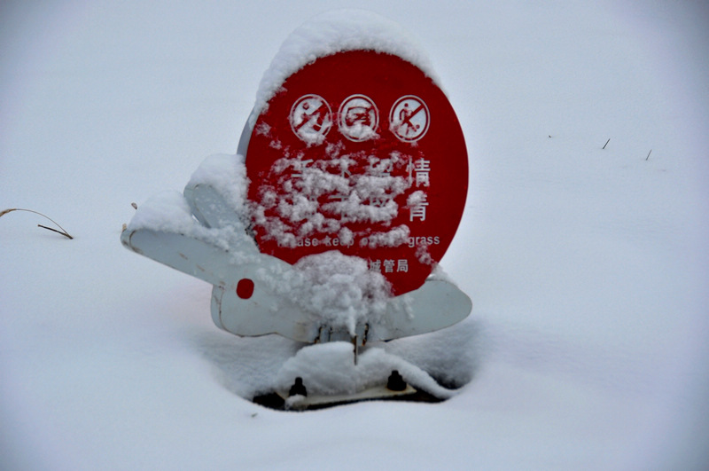 披雪进新年 摄影 始化