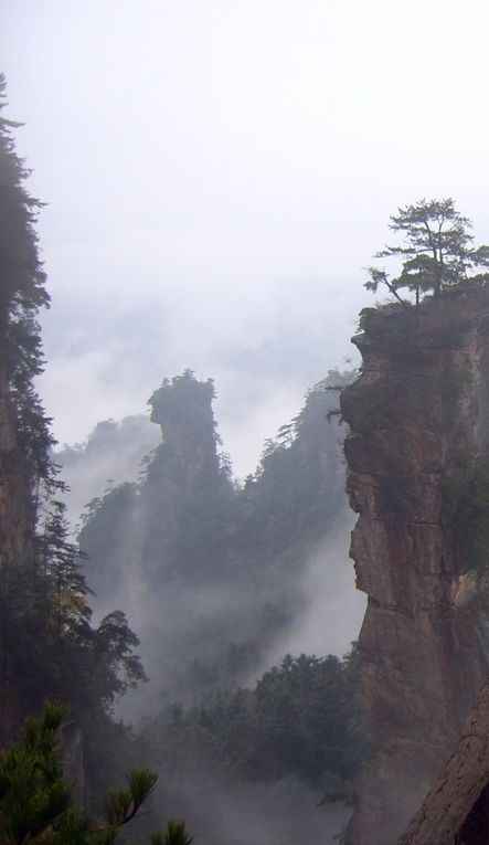 雾中张家界 摄影 我为峰