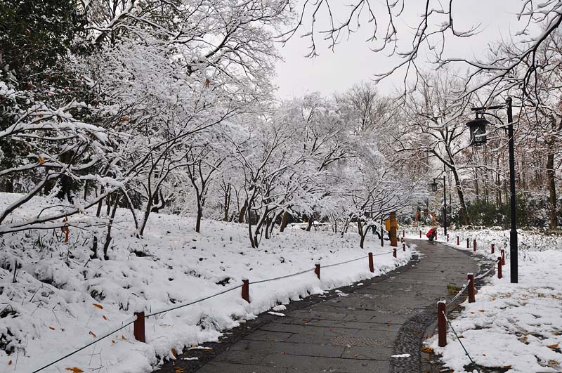 雪霁太子湾之二 摄影 一滴露珠