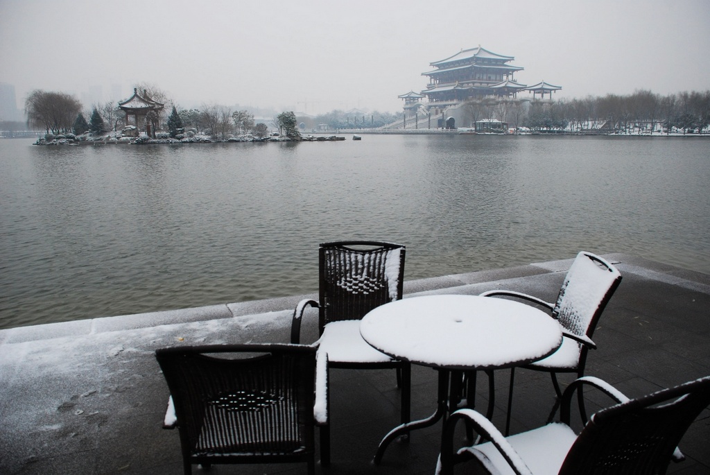 芙蓉园雪 摄影 阳光灿烂中