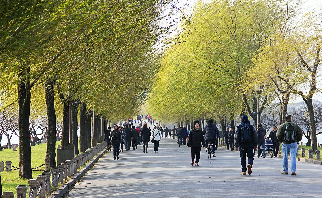 白堤寒风凛冽 摄影 空谷听风