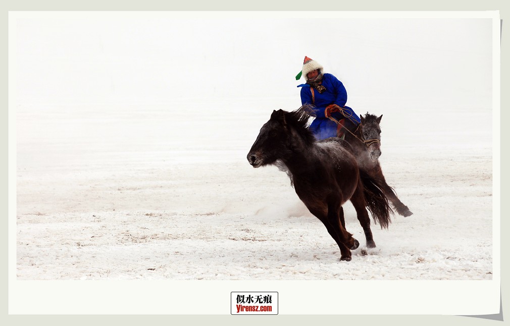 雪原驰骋 摄影 似水无痕